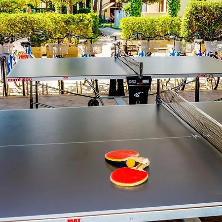 Delfa 3* カオルレ