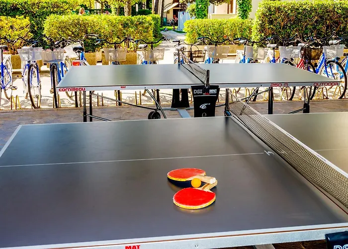 Delfa 3* 카오를레