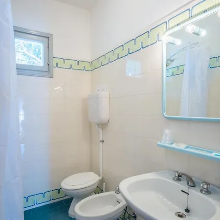 Delfa 3* 카오를레